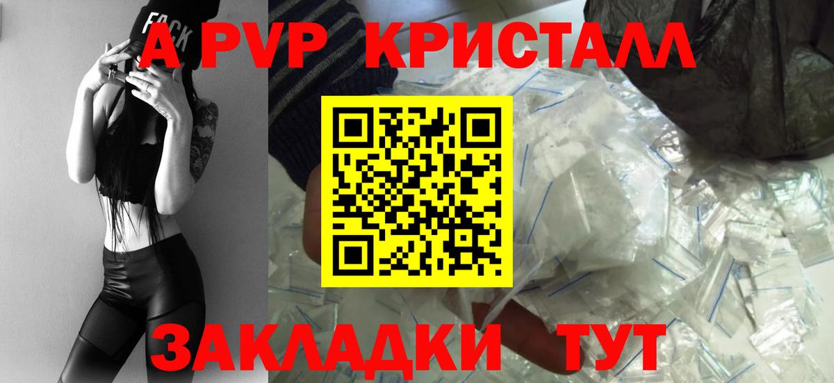 Alfa_PVP СК КРИС Ростов Великий